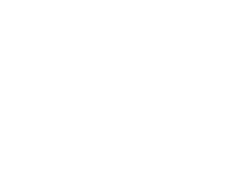 METI - изображение 1